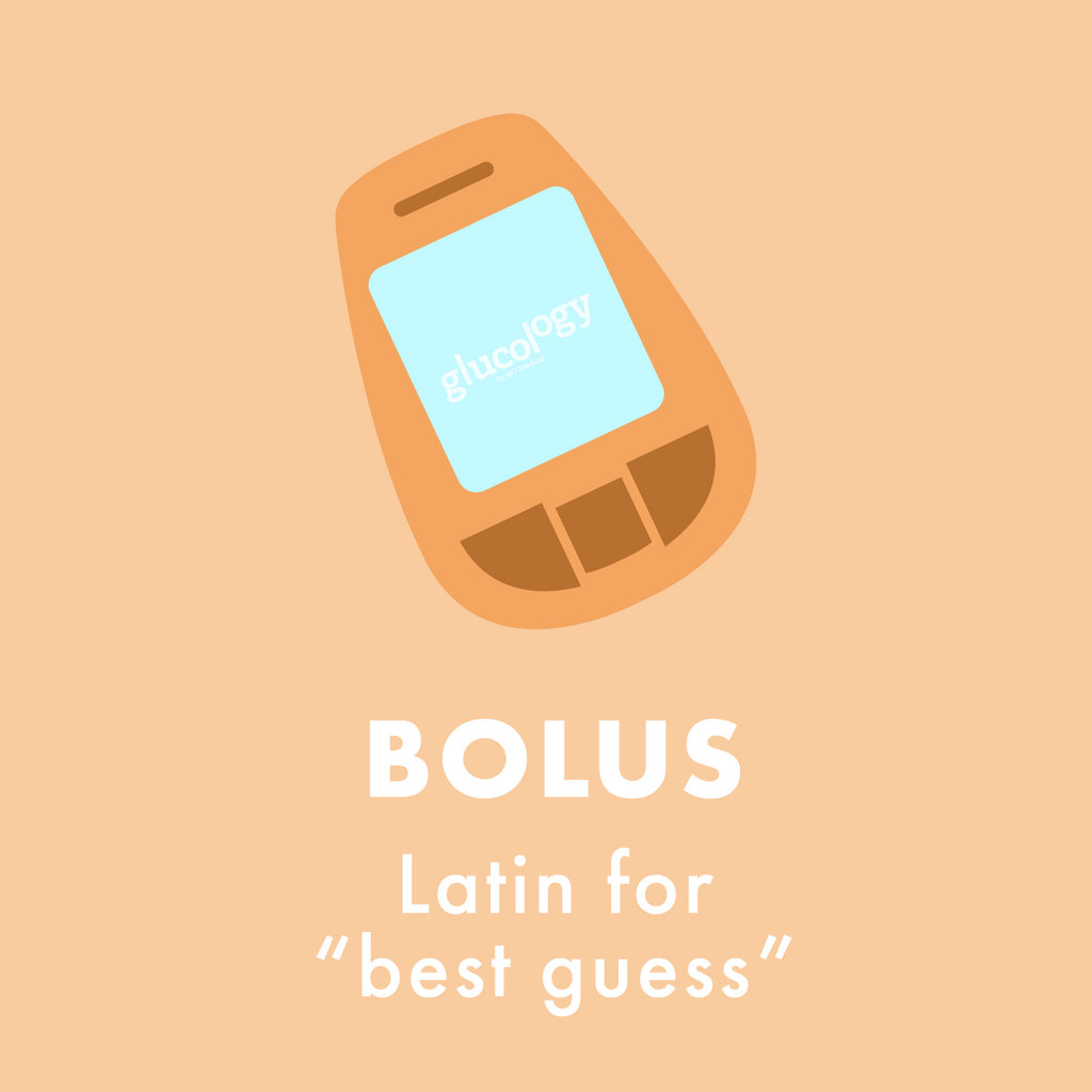 Bolus = best guess!